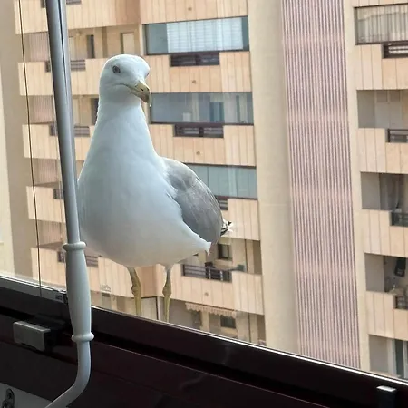 아파트 Flaming Topacio 칼페