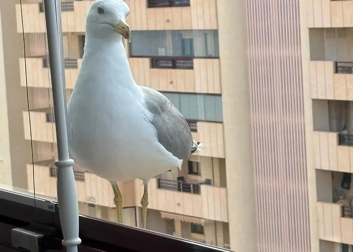 Apartment Flaming Topacio Calpe